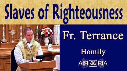 From Sin’s Slavery to Sanctification in Christ – Oct 23 – Homily – Fr Terrance