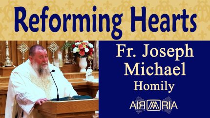 St Anthony Mary Claret, Reforming Hardened Hearts – Oct 24 – Homily – Fr Joseph Michael St Anthony Mary Claret, Reforming Hardened Hearts – Oct 24 – Homily – Fr Joseph Michael