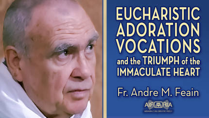 Eucharistic Adoration and the Triumph of the Immaculate Heart – Oct 25 – Homily – Fr Andre Eucharistic Adoration and the Triumph of the Immaculate Heart – Oct 25 – Homily – Fr Andre