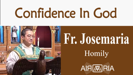 Infallible Promises – Oct 30 – Homily – Fr Josemaria Infallible Promises – Oct 30 – Homily – Fr Josemaria