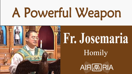 Triumph Over Evil – Oct 31 – Homily – Fr Josemaria Triumph Over Evil – Oct 31 – Homily – Fr Josemaria