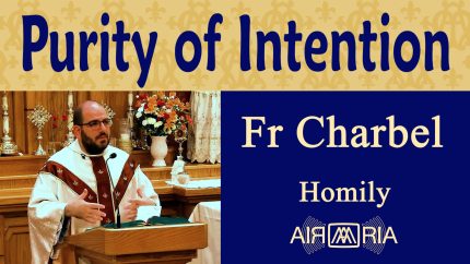 Conforming to Christ Through Selfless Acts of Charity – Nov 03 – Homily – Fr Charbel