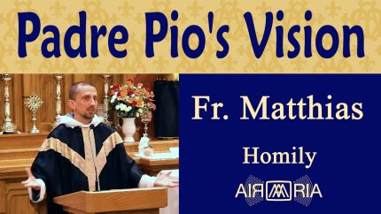 Padre Pio’s Encounter with Suffering Friar Souls – Nov 05 – Homily – Fr Matthias