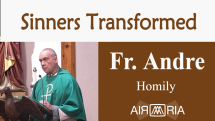 Closer To Jesus – Nov 06 – Homily – Fr Andre Closer To Jesus – Nov 06 – Homily – Fr Andre