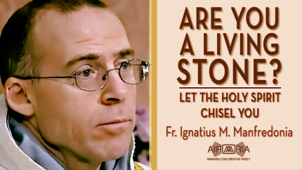 Why the Lateran Basilica Matters: Unity with the Pope – Nov 09 – Homily – Fr Ignatius Why the Lateran Basilica Matters: Unity with the Pope – Nov 09 – Homily – Fr Ignatius