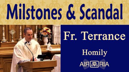 The Dangers of Causing Others to Sin – Nov 10 – Homily – Fr Terrance