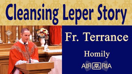 Rejecting Modern Forms of Racism – Nov 12 – Homily – Fr Terrance