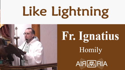 Power And Wisdom – Nov 13 – Homily – Fr Ignatius Power And Wisdom – Nov 13 – Homily – Fr Ignatius