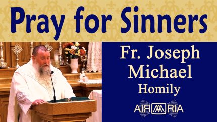 Praying Persistently for Others – Nov 18 – Homily – Fr Joseph Michael