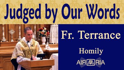 Online Comments and Judgment Day – Nov 19 – Homily – Fr Terrance