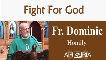 Zeal – Nov 20 – Homily – Fr Dominic