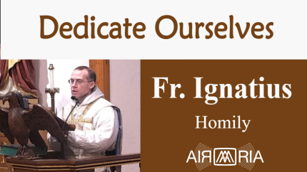 Beloved Daughter – Nov 21 – Homily – Fr Ignatius