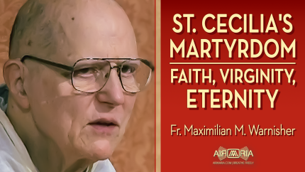 Give Everything Back to God: Heaven’s Glorified Promise – Nov 22 – Homily – Fr Maximilian