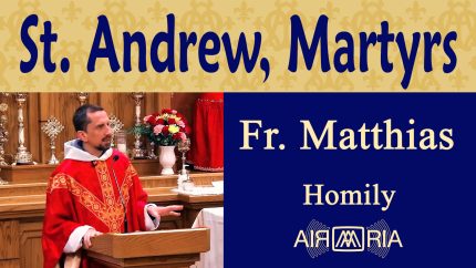 Finding Eternal Life by Giving Everything – Nov 24 – Homily – Fr Matthias