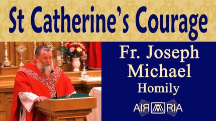 Fear Not, Trust in Christ’s Victory – Nov 25 – Homily – Fr Joseph Michael
