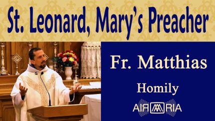 St. Leonard of Port Maurice & the Immaculate Conception – Nov 26 – Homily – Fr Matthias