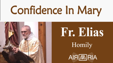 Miraculous Medal – Nov 27 – Homily – Fr Elias