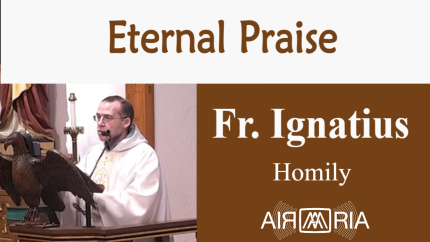 Glory Of God – Nov 28 – Homily – Fr Ignatius
