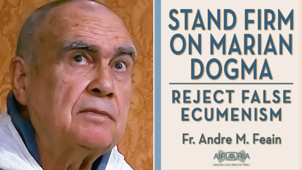 Mary’s Role in Salvation: Why We Must Reject False Ecumenism – Nov 29 – Homily – Fr Andre