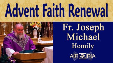 The Centurion, Renewing Faith and Humility in Advent – Dec 01 – Homily – Fr Joseph Michael The Centurion, Renewing Faith and Humility in Advent – Dec 01 – Homily – Fr Joseph Michael