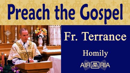 St. Francis Xavier: Patron of Evangelization and Missions – Dec 03 – Homily – Fr Terrance