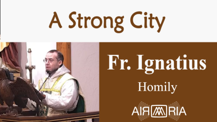 Firm Purpose – Dec 04 – Homily – Fr Ignatius