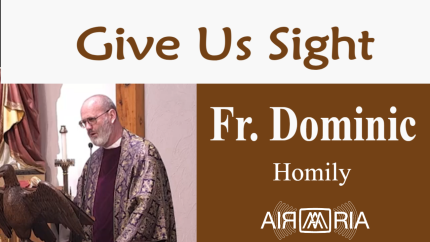 Change Of Life – Dec 05 – Homily – Fr Dominic