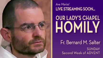 John the Baptist Urges True Repentance – Dec 07 – Homily – Fr Bernard