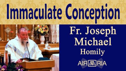 God’s Plan for Mary’s Purity – Dec 08 – Homily – Fr Joseph Michael