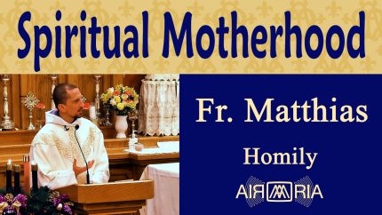 Mary’s Real Spiritual Motherhood and Role in Redemption – Dec 09 – Homily – Fr Matthias