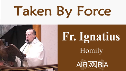 Mystical Elijah – Dec 11 – Homily – Fr Ignatius