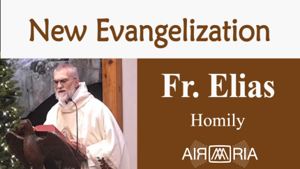 Maternal Care – Dec 12 – Homily – Fr Elias