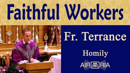 Parable of the Two Sons, Work in My Vineyard – Dec 16 – Homily – Fr Terrance