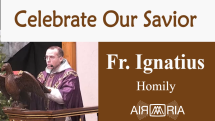 A Descendant of David – Dec 18 – Homily – Fr Ignatius