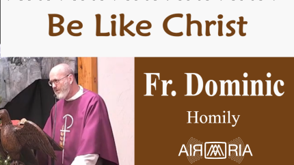 Our Consecration – Dec 19 – Homily – Fr Dominic