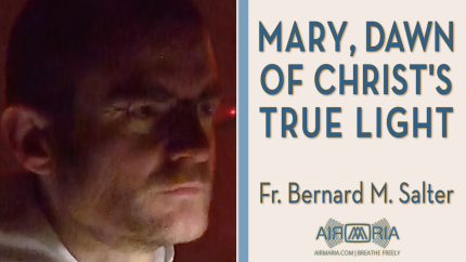 Our Lady as the Dawn: Lessons from the Rorate Mass – Dec 20 – Homily – Fr Bernard