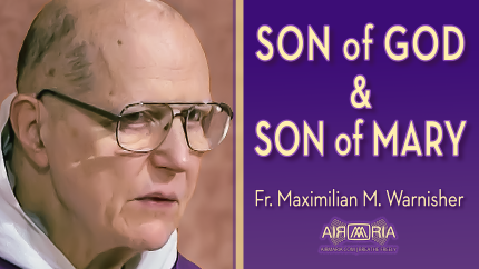 The Mary Mystery: Mother of the God-Man – Dec 21 – Homily – Fr Maximilian W