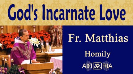 Incarnation Enables Divine Love for Neighbors – Dec 22 – Homily – Fr Matthias