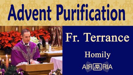 Preparing for Christ Through Purification in Advent – Dec 23 – Homily – Fr Terrance