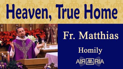 Joy of Christmas Points to Eternal Joy of Heaven – Dec 24 – Homily – Fr Matthias